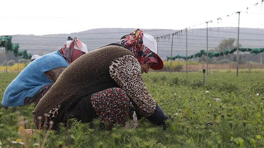 Eskişehir'den Türkiye'nin dört bir yanına nefes oluyorlar! Orman yangınlarından sonra üretim kapasitesi artırıldı