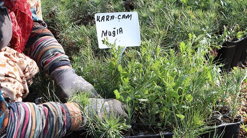 Eskişehir'den Türkiye'nin dört bir yanına nefes oluyorlar! Orman yangınlarından sonra üretim kapasitesi artırıldı
