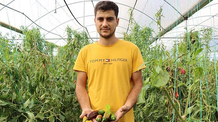 Şanlıurfalı genç girişimci akrabalarını dinledi kendi işini kurdu! Devlet desteğiyle yılda iki ürün yetiştiriyor