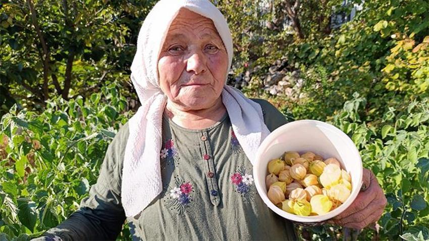 Dünyada daha iyisi yok! 100 gramı 50 liradan satılıyor, yoğun talep var