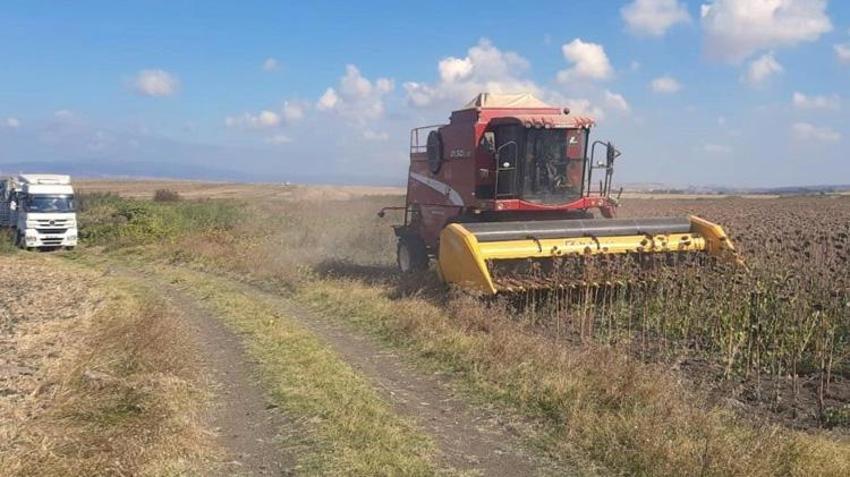 Balıkesir'de hasat tamamlandı! Rekor verim yüz güldürdü