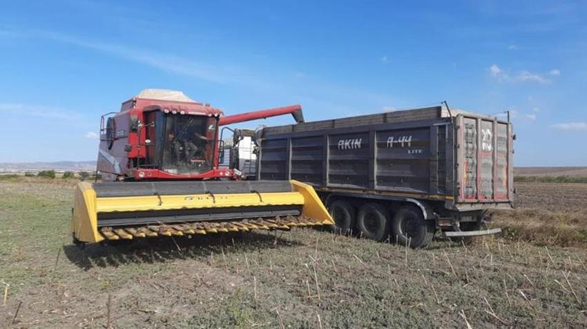 Balıkesir'de hasat tamamlandı! Rekor verim yüz güldürdü
