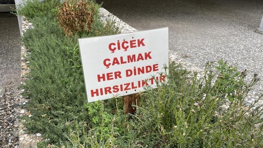 Eskişehir'de hırsızlara ilginç not: Çiçeklerini böyle korudu