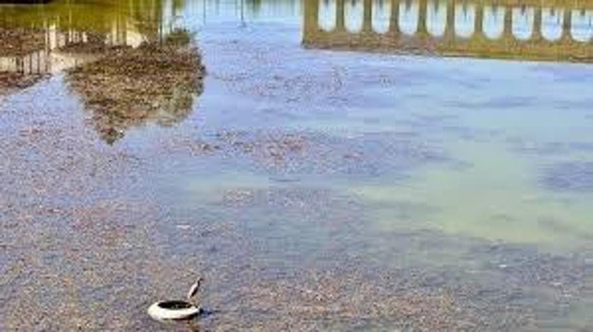 Konya'da böylesi ilk kez oluyor! Koca bir ada yok oldu: Karayla birleşince sayısı arttı