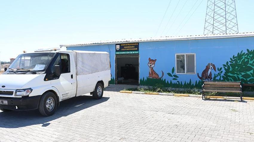 Şanlıurfa'da örnek proje: Organik atıklar sokak hayvanları için dönüştürülüyor!