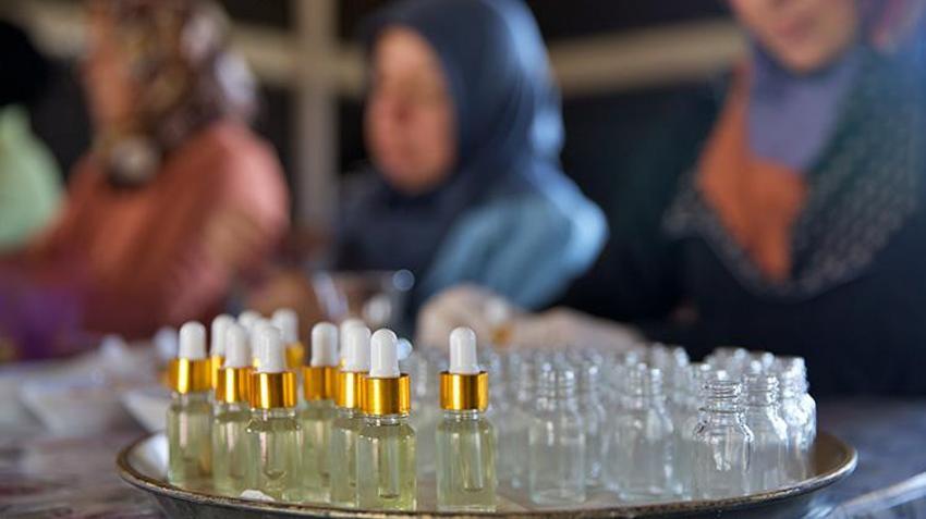 Osmaniye'de kadın girişimciler el birliğiyle yaptı: Atıl arazi kendilerine gelir kapısı oldu!