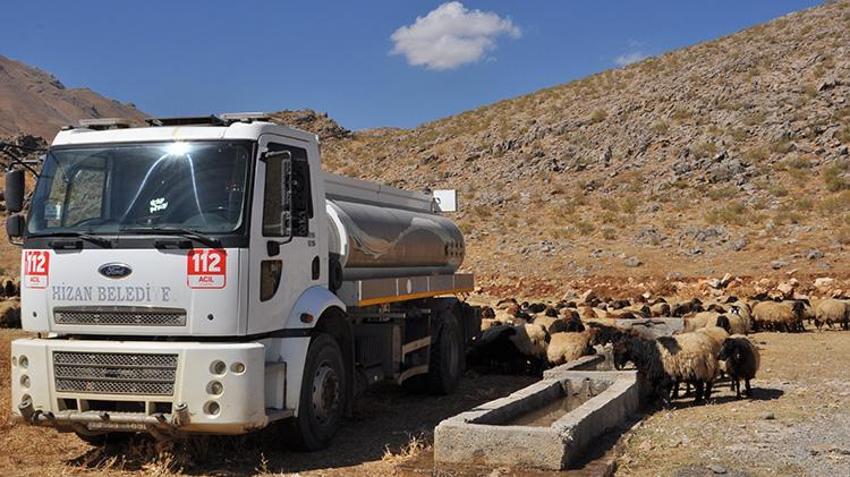 Bitlis Hizan'da insani dokunuş: Susuz kalan hayvan sürülerine itfaiye ekipleri su taşıdı!