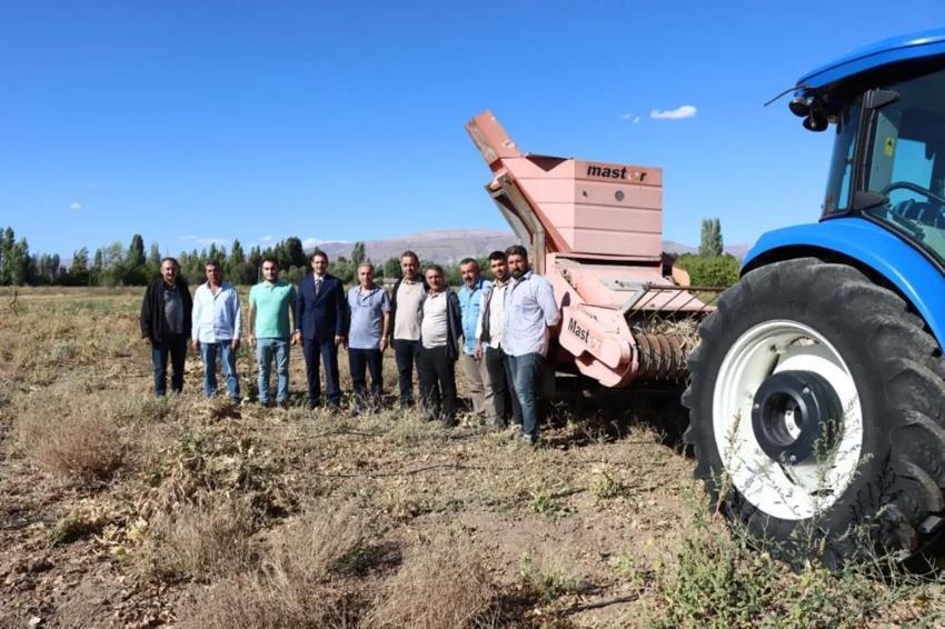 Deneme alanlarında ilk hasat yapıldı! Bu sezon verim tavan yaptı