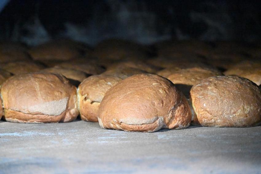 8 saatte pişiyor! Yaşı 1 hafta, kurusu 1 yıl dayanıyor! Dünyanın her yerine kilo kilo satılıyor