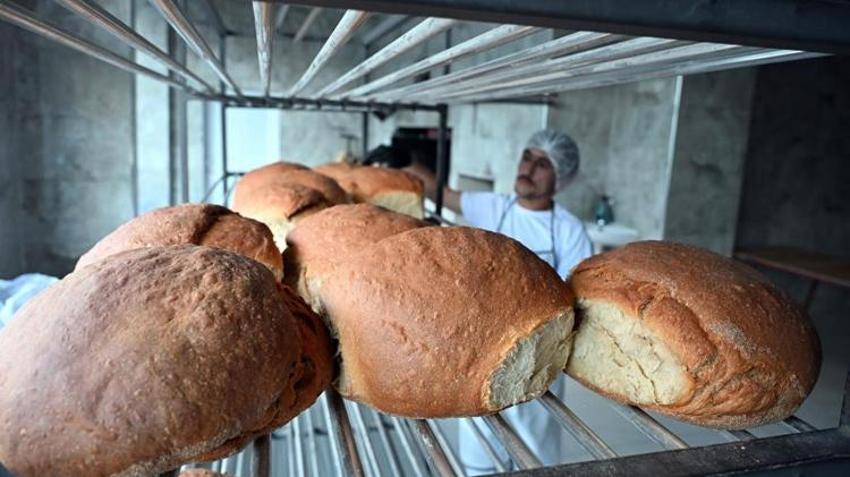 8 saatte pişiyor! Yaşı 1 hafta, kurusu 1 yıl dayanıyor! Dünyanın her yerine kilo kilo satılıyor