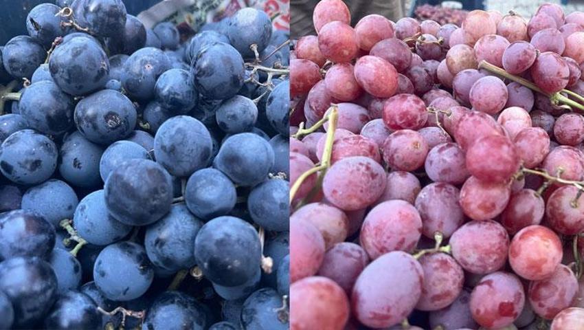 Dünyaca ünlü Alaşehir üzümleri Tavşanlı semt pazarında: Kilo fiyatı 50 TL ile 60 TL arasında değişiyor