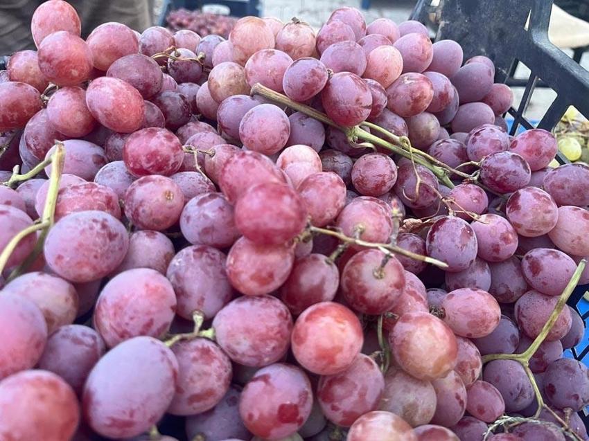 Dünyaca ünlü Alaşehir üzümleri Tavşanlı semt pazarında: Kilo fiyatı 50 TL ile 60 TL arasında değişiyor