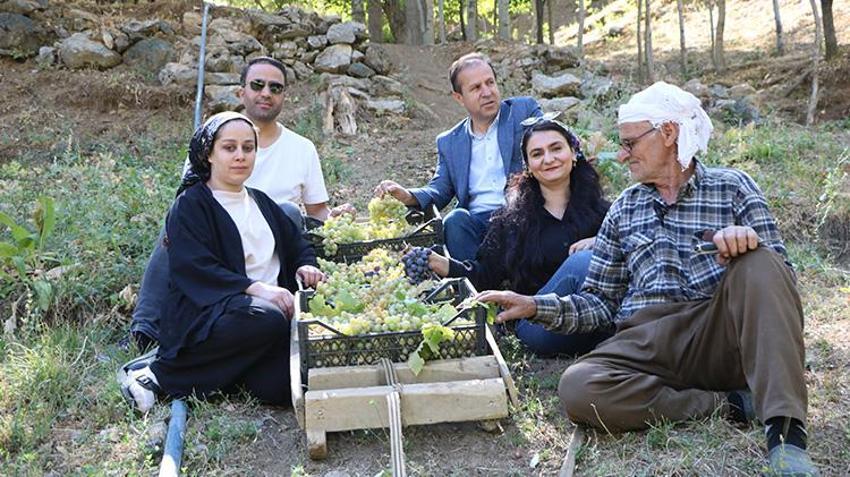 Hakkarili Süso amca yaşına aldırmadan her gün kızak çekiyor! 11 çocuğunu böyle okuttu