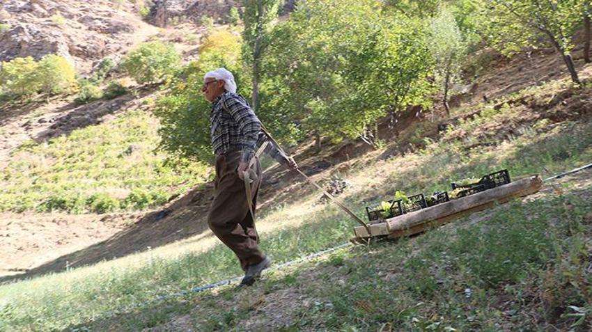 Hakkarili Süso amca yaşına aldırmadan her gün kızak çekiyor! 11 çocuğunu böyle okuttu