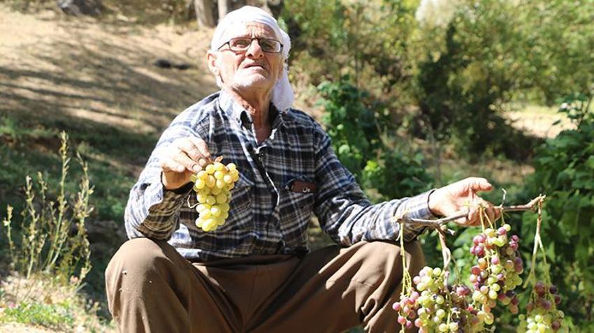 Hakkarili Süso amca yaşına aldırmadan her gün kızak çekiyor! 11 çocuğunu böyle okuttu