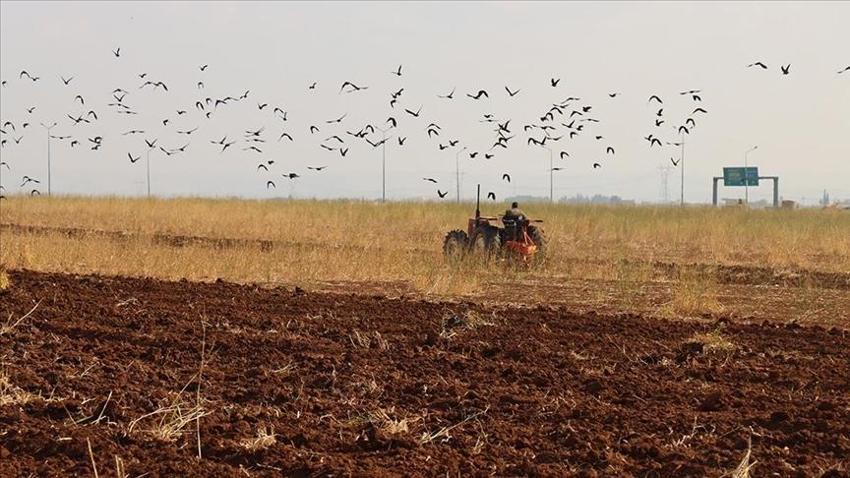 ŞANLIURFA HAVA DURUMU: Çiftçinin yağmur hasreti sona erecek mi? İlk işaret ortaya çıktı