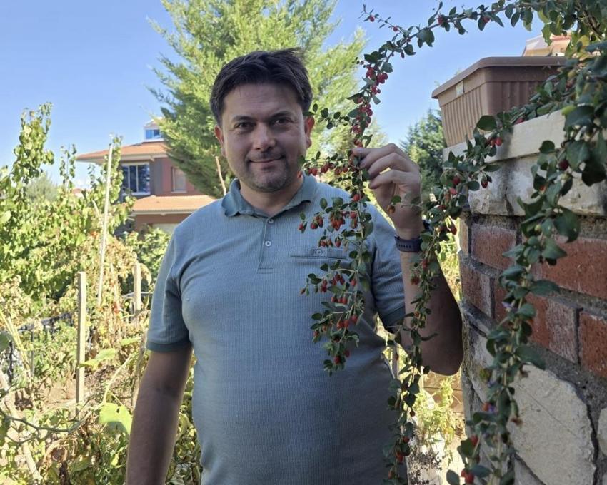 Van'da görev yapan doktor bir ilke imza attı! Bahçesinde yetiştirdiği meyveler görenleri şaşkına çeviriyor