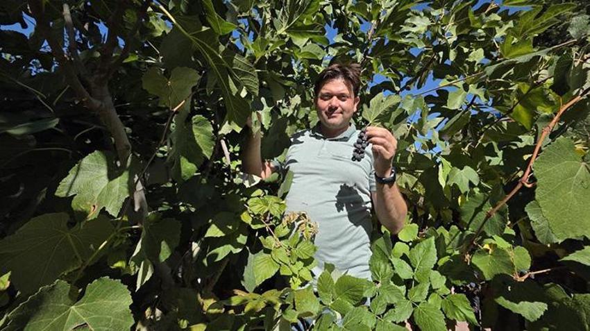 Van'da görev yapan doktor bir ilke imza attı! Bahçesinde yetiştirdiği meyveler görenleri şaşkına çeviriyor