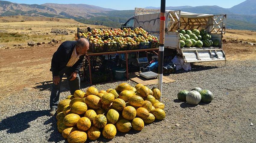 Muş'ta 30 yıllık hasret sona erdi! Köylerine dönen aileler ektikleri ürünleri hasat etmeye başladı