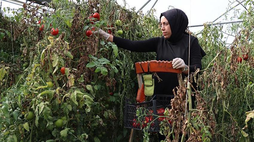 Erzincanlı kadın kendi işini kurdu ama çocukluk hevesinden de vazgeçmedi! Gündüz onu görenler akşam tanıyamıyor