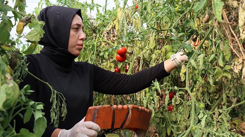 Erzincanlı kadın kendi işini kurdu ama çocukluk hevesinden de vazgeçmedi! Gündüz onu görenler akşam tanıyamıyor