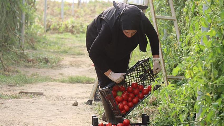 Erzincanlı kadın kendi işini kurdu ama çocukluk hevesinden de vazgeçmedi! Gündüz onu görenler akşam tanıyamıyor