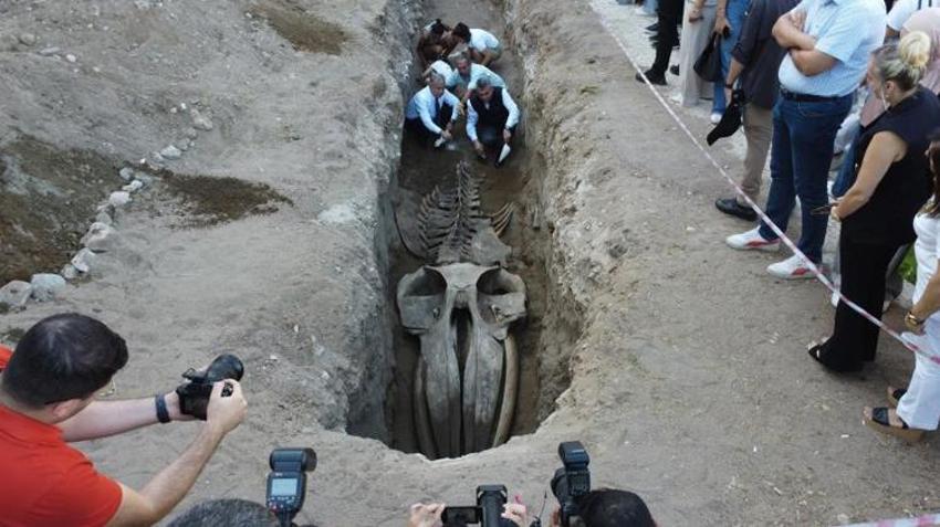 Mersin'de heyecanlandıran keşif! Toprağın altından çıkan dev iskelet şaşkına çevirdi