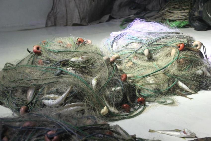 Sayıları azalsa da onlar vazgeçmiyor! Tekne kullanıp ağ atıyorlar, 70 yıllık geleneği yaşatıyorlar: İşte Karadeniz'in deniz kadınları