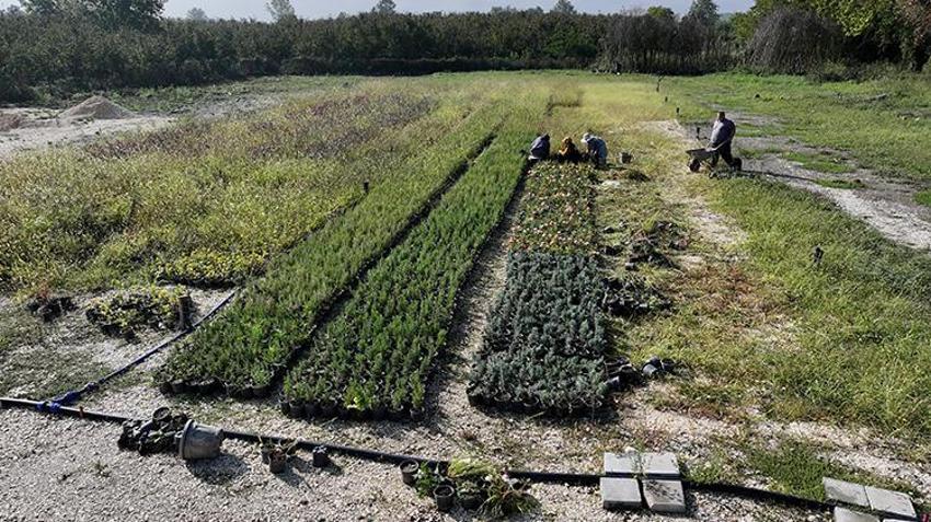 Atıl arazilerle hayatları değişti! Şimdi hem üretiyor hem de para kazanıyorlar