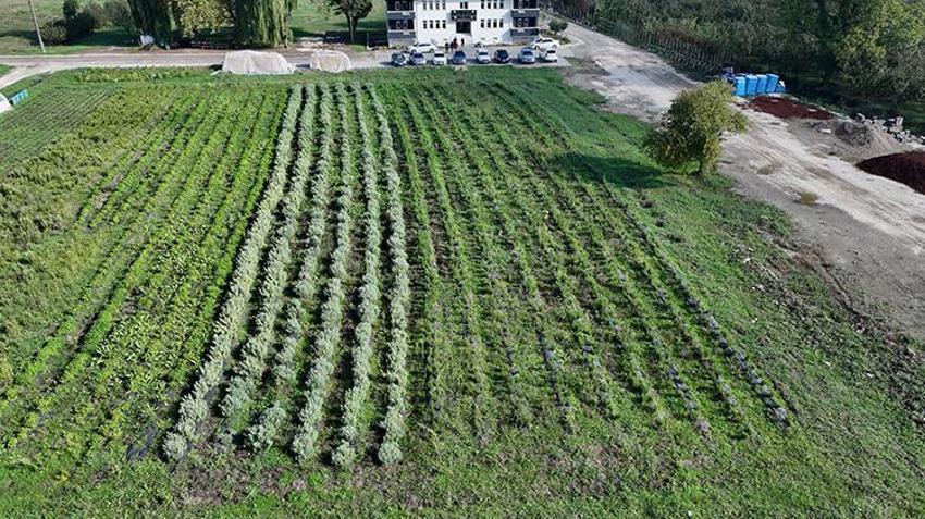 Atıl arazilerle hayatları değişti! Şimdi hem üretiyor hem de para kazanıyorlar