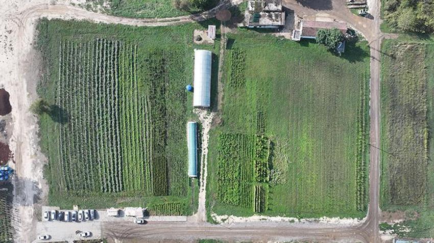 Atıl arazilerle hayatları değişti! Şimdi hem üretiyor hem de para kazanıyorlar