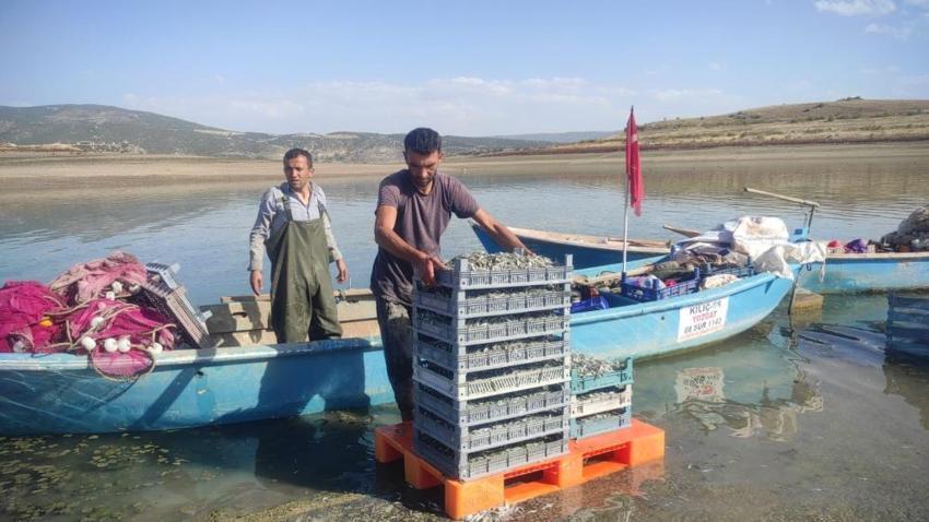 Yozgat Çekerek Barajı'nda hummalı mesai: Gümüş balığı av sezonu başladı!
