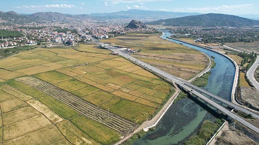 Beyaz altında hasat başladı! Rekolte düştü, talep patladı