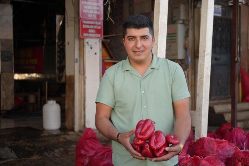Gaziantep'te kışlık 'acı mesaisi' başladı: Kadınlar günde 30 ton biberi salçaya çeviriyor, ev ekonomisine katkı sağlıyor!
