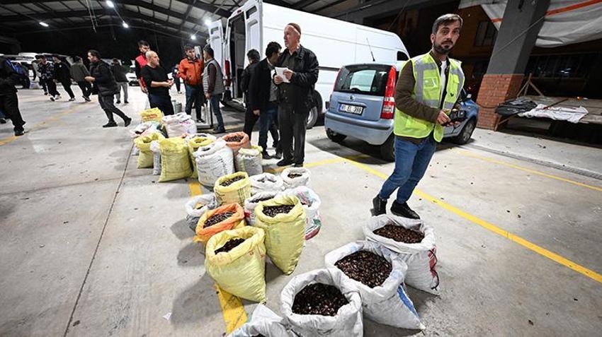 Düzce'de sezon açıldı: Kilosu 400 liraya satışa çıktı, İstanbul'dan Antalya'ya herkes bu lezzetin peşinde!