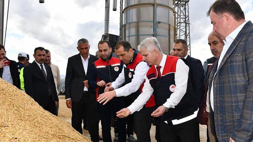 Çankırı'da hasat törenle başladı! Tarlalar biçiliyor, 25 bin ton ürün bekleniyor