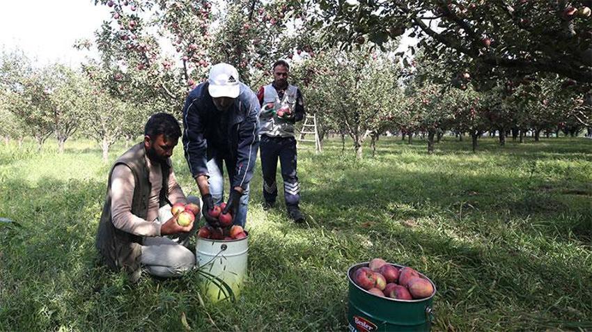 Konya ve Amasya'yı solladı! Doğunun yükselen yıldızı zirveye oynuyor, 100 milyon lira gelir sağlanacak