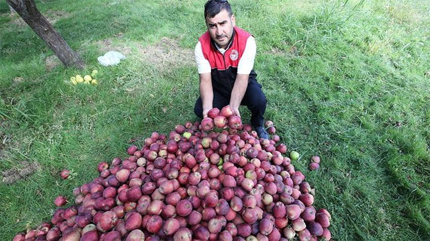 Konya ve Amasya'yı solladı! Doğunun yükselen yıldızı zirveye oynuyor, 100 milyon lira gelir sağlanacak