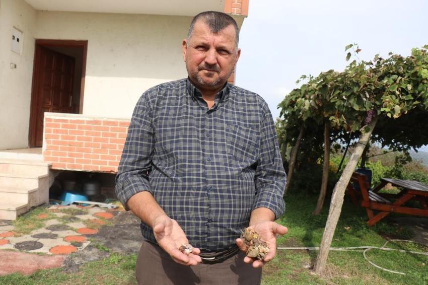Çin'den gelip Karadeniz'i esir aldı! Köylerde kabus patladı, muhtar açıkladı: Bizi yok edecek