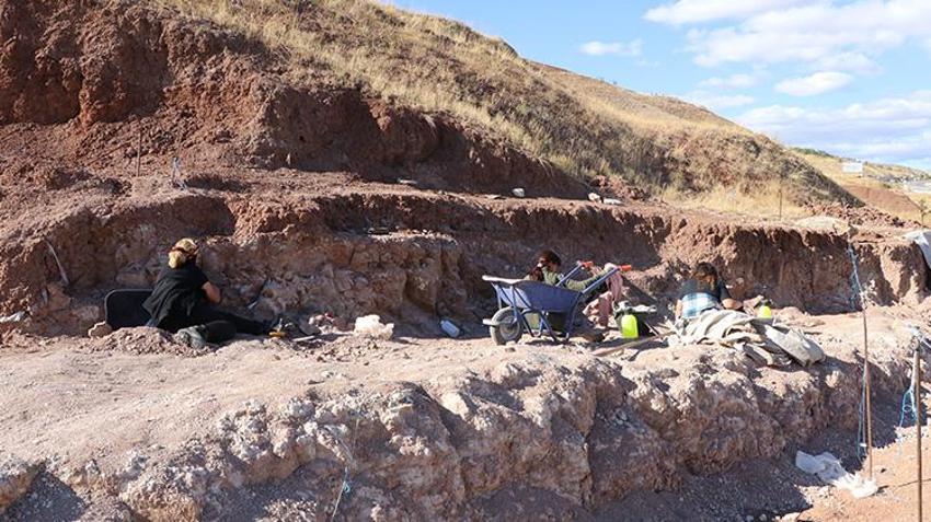 Tam 9 milyon yıllık! Eşi benzeri yok! Kazdıkça çıkanlar şaşkına çevirdi