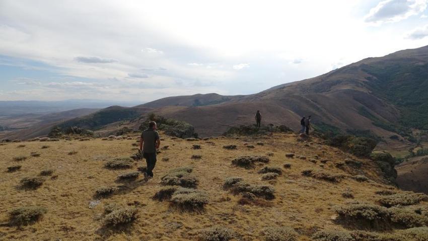 Tarlalara giriyor sonra gözden kayboluyor! Köylüler ne yapacağını şaşırdı! Herkes onu arıyor!