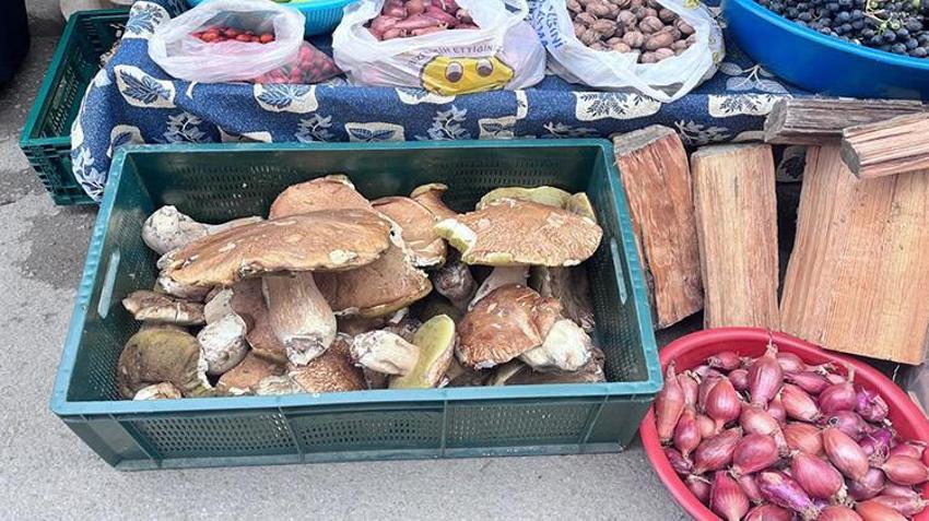 Ormandan toplanıp kilosu 500 liradan satılıyor! Fiyatı uçtu ama herkes kapış kapış alıyor