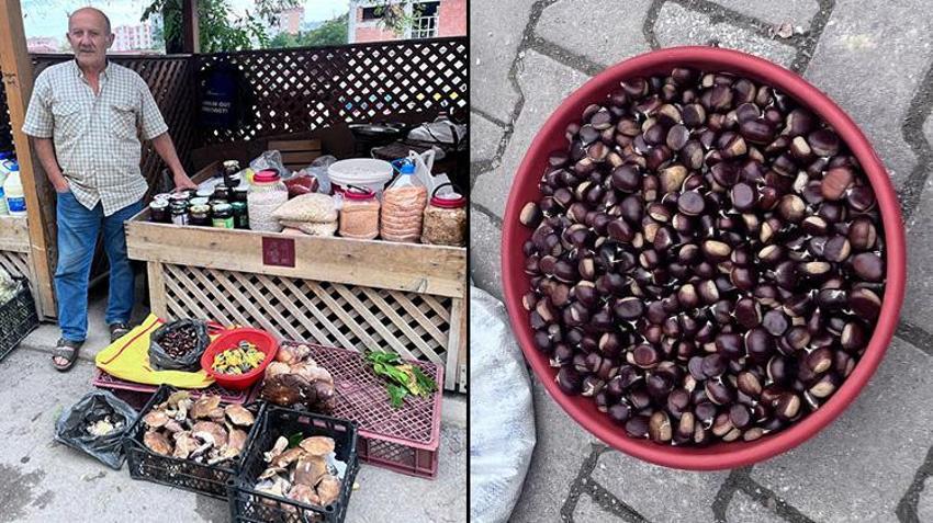 Ormandan toplanıp kilosu 500 liradan satılıyor! Fiyatı uçtu ama herkes kapış kapış alıyor