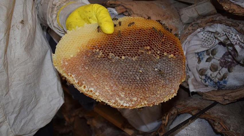 Mereto Dağı'nın eteklerindeki kulübesinde üretip 2 bin TL'ye satıyor! Batmanlı vatandaş babasının yolundan gitti ekmek kapısını buldu