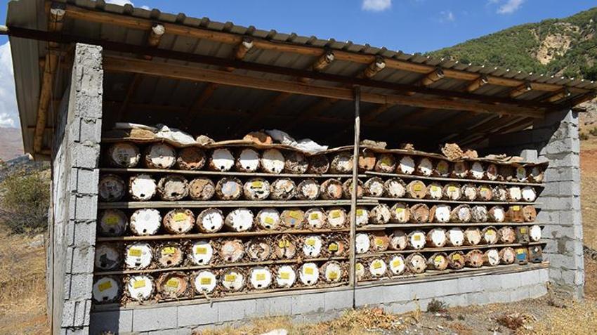 Mereto Dağı'nın eteklerindeki kulübesinde üretip 2 bin TL'ye satıyor! Batmanlı vatandaş babasının yolundan gitti ekmek kapısını buldu