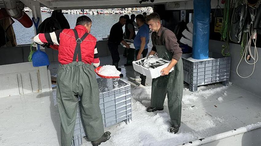 Kilosu 300 TL'den satılıyor! Kasa kasa geldi: Yüzler gülüyor