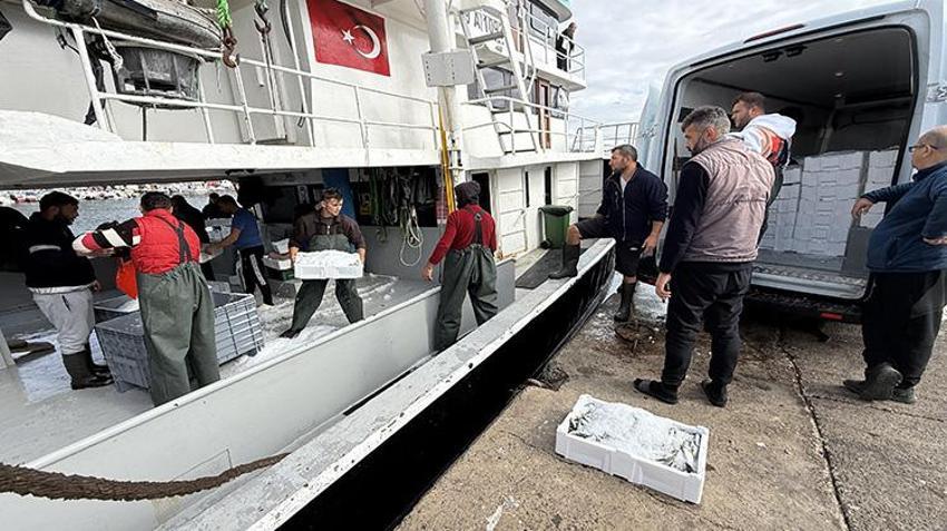 Kilosu 300 TL'den satılıyor! Kasa kasa geldi: Yüzler gülüyor