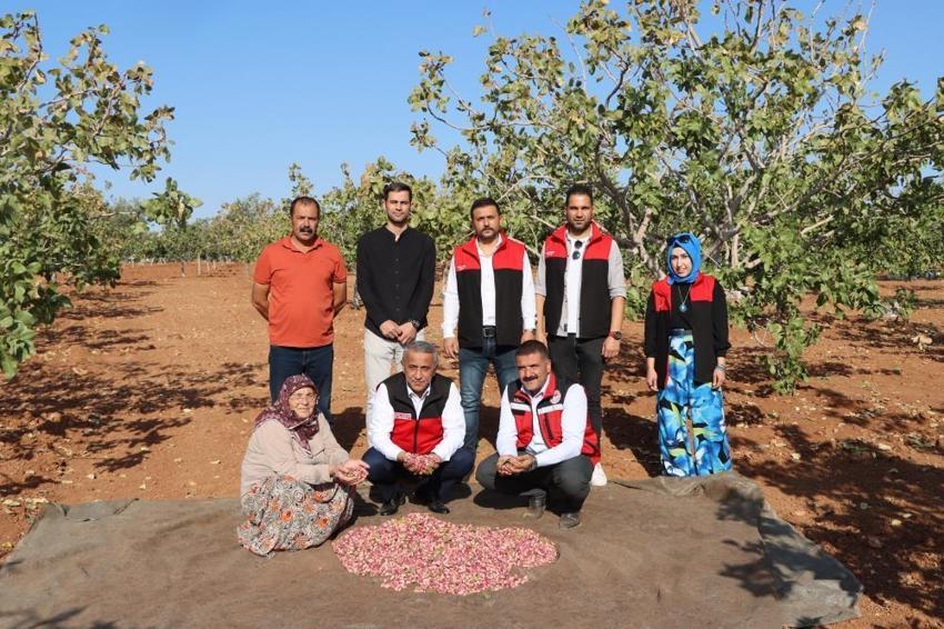 Yeşil altında korkutan rekolte düşüşü: Don ve kuraklık vurdu, fiyatlar uçuşa geçecek!