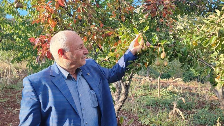 Yozgatlı çiftçiler şaştı kaldı! "Ömrümde böyle bir şeyi ilk kez görüyorum"