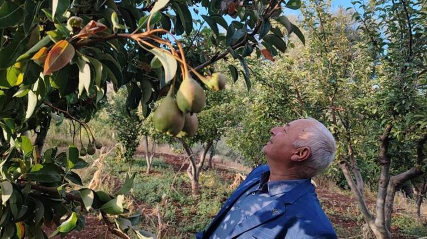 Yozgatlı çiftçiler şaştı kaldı! "Ömrümde böyle bir şeyi ilk kez görüyorum"